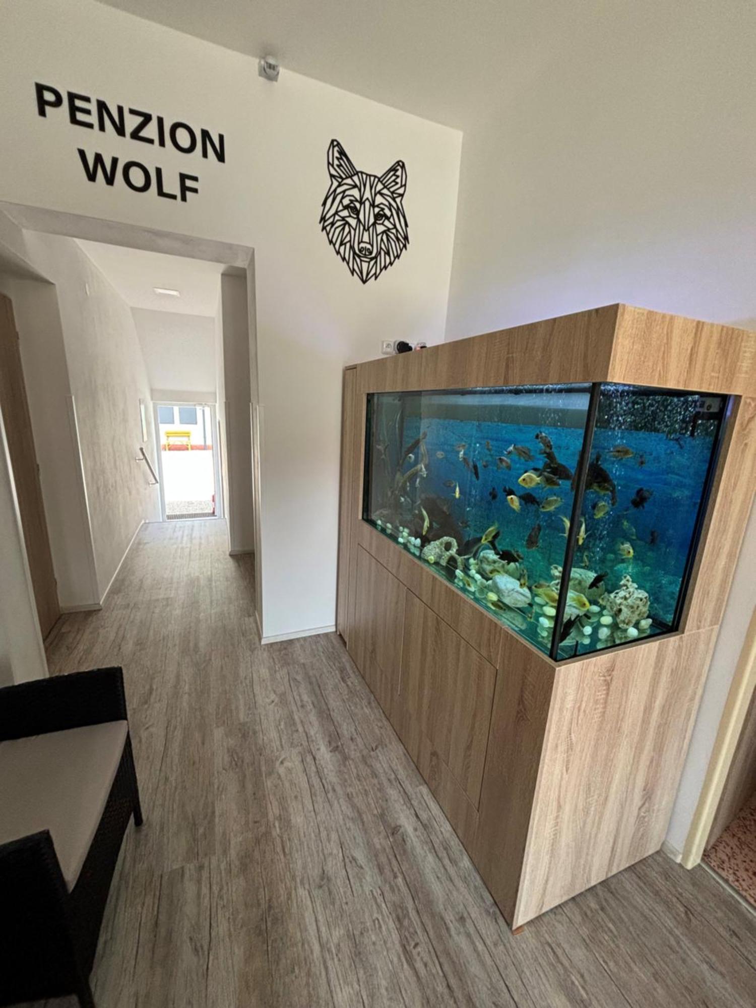 Penzion A Autokemp Wolf Česká Skalice エクステリア 写真